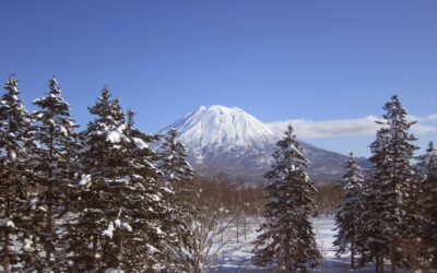 地に足を付ける