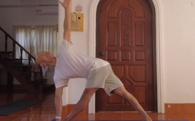 Parivrtta Trikonasana