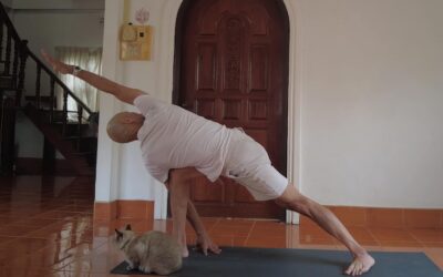 Parivrtta Parsvakonasana